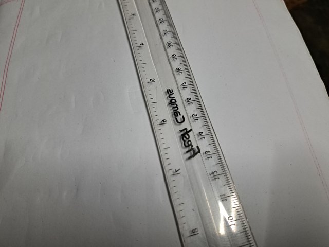 1000049084.jpg