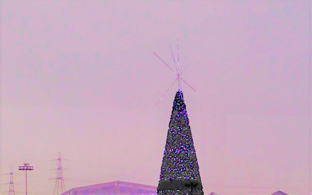 Christmas Photography Sky High Tree Dec 12 2016.jpg