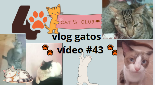 video43.PNG