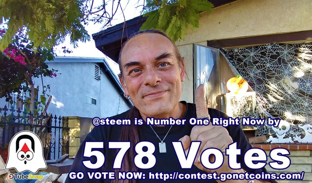#dtubesnap 12 - GO VOTE FOR @steem on the NetCoins Website to So @steem Stays #1 - It Is Easy - 1 and a Half Days Left - Rock the @steemit Planet.jpg