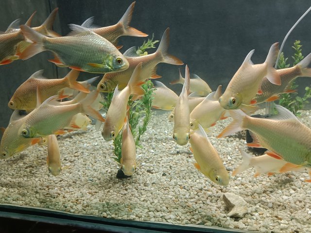 IMG20250103115239.jpg