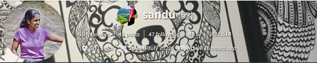 sanduni banner org.png