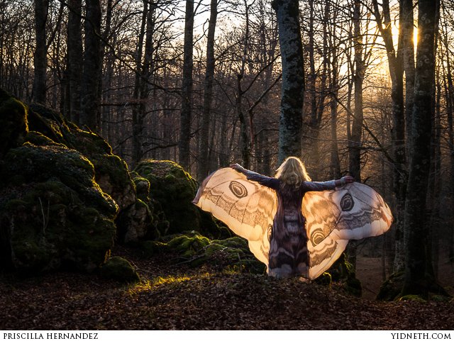 moth princess - by Priscilla Hernandez (yidneth.com)-2.jpg