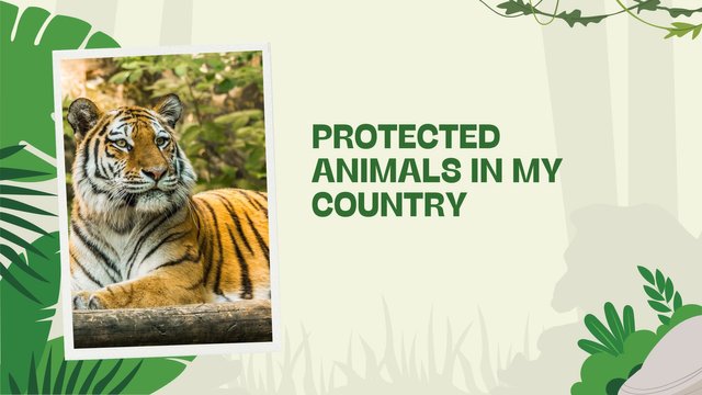 Protected animals in my country.jpg