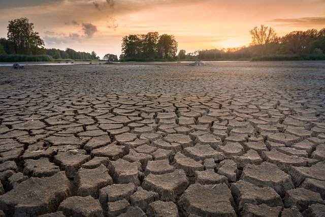 drought-3618653_1280.jpg