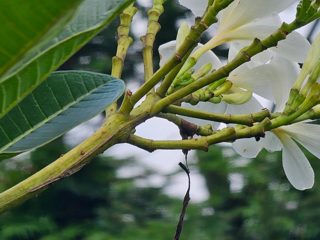 20250621_162311.jpg