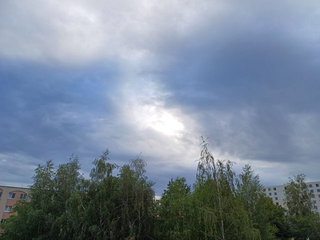 20250702_060312.jpg
