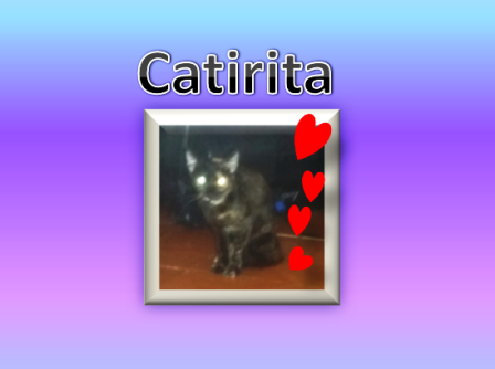 catirita.png