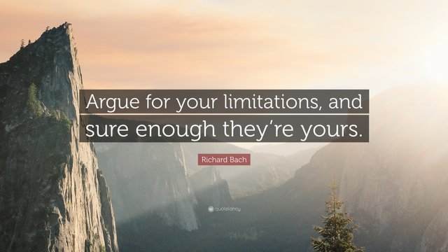 112903-Richard-Bach-Quote-Argue-for-your-limitations-and-sure-enough-they.jpg
