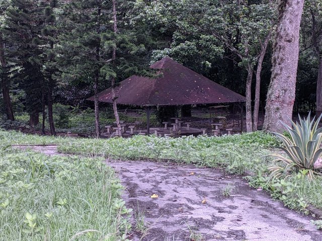 PXL_20250507_104809186.jpg