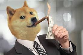 doge.jfif