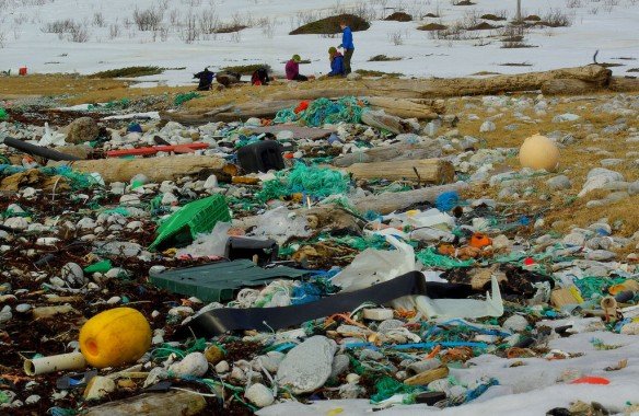 plastic-pollution(plastic-pollution.org).jpg