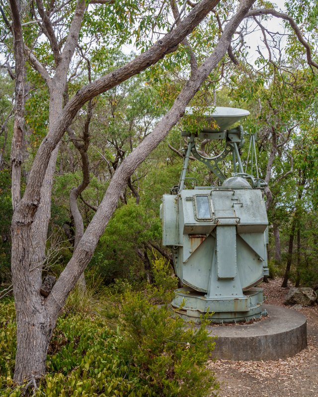 A1V05269.jpg