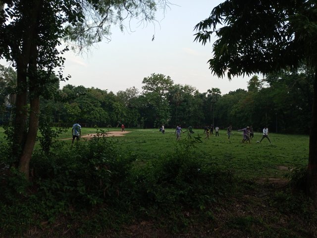IMG_20240531_181616_668.jpg