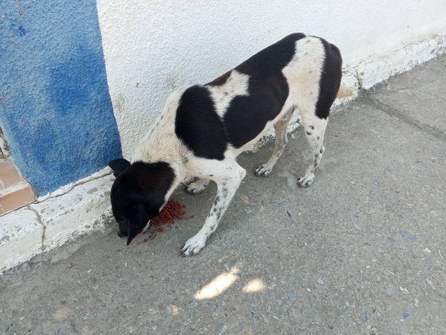 Imagen de WhatsApp 2025-03-09 a las 16.50.12_fd5e5410.jpg