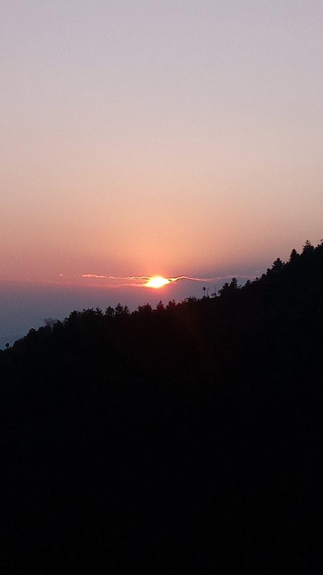 20250322_061821.jpg