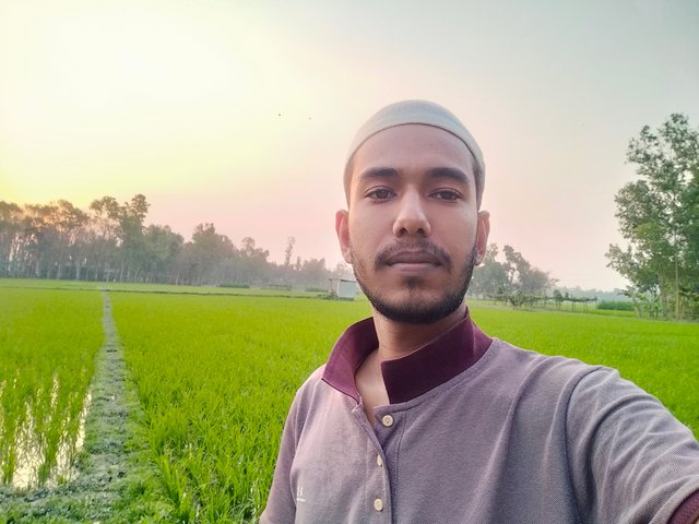 IMG20250308174537.jpg