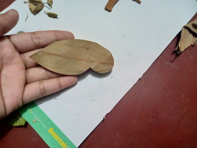IMG20250814141605.jpg