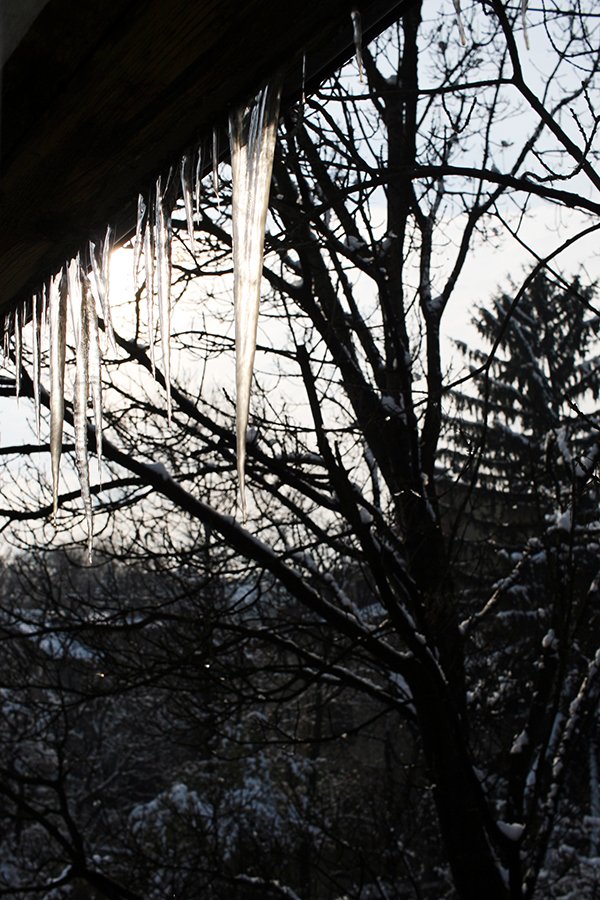 Winter_Vibes_n02_s.jpg