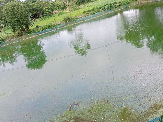 IMG20250616182309.jpg