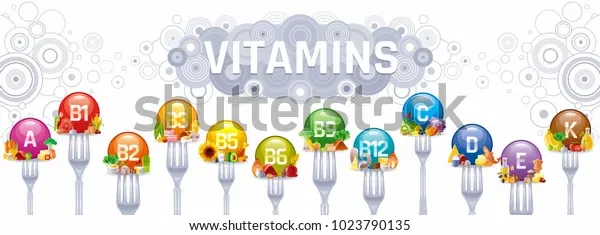 mineral-vitamin-multi-supplement-icons-600w-1023790135.webp