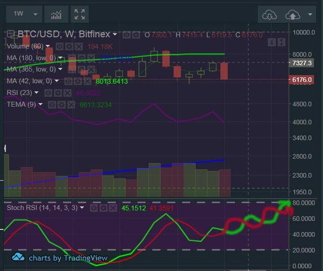 BTC-SNAKE.jpg