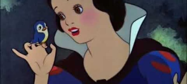 1000377011.jpg
