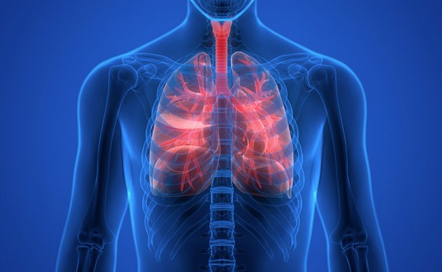 healthy-lungs-its-not-just-about-the-air-we-breathe-lg.jpg
