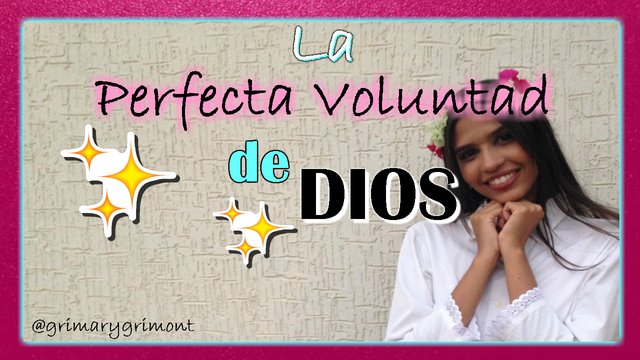 la perfecta voluntad portada yt.jpg