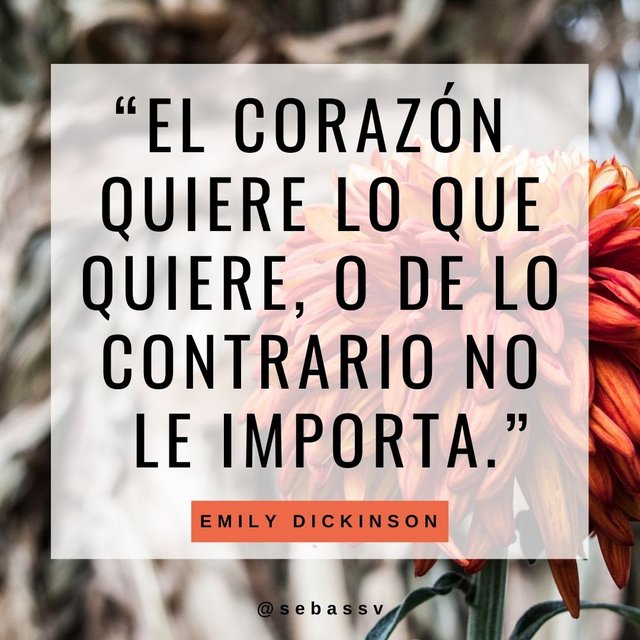 Emily Dickinson 9.jpg