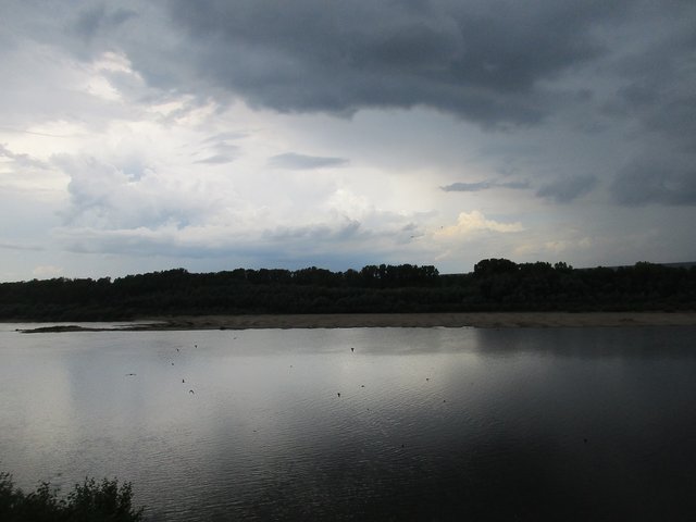 IMG_5054.JPG