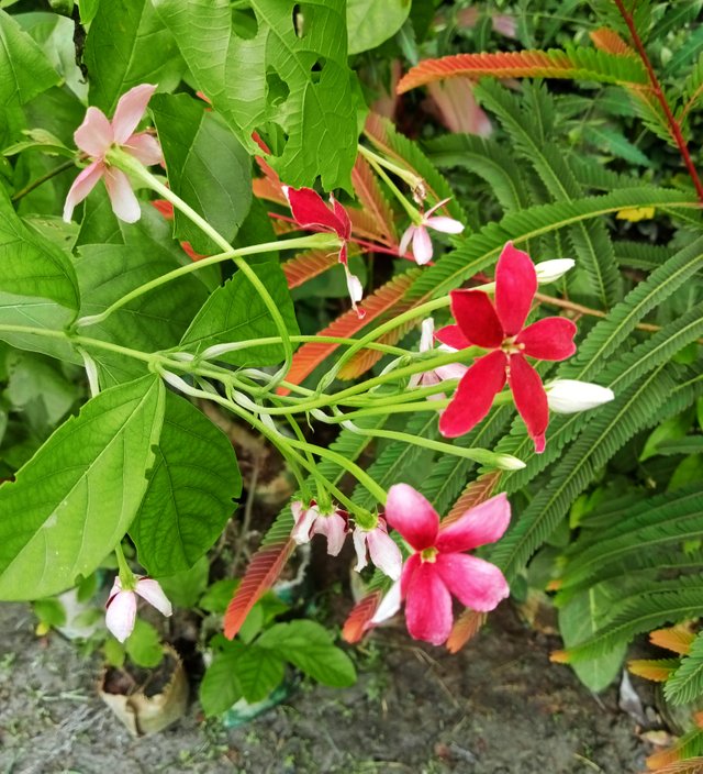 IMG_20250806_132004.jpg