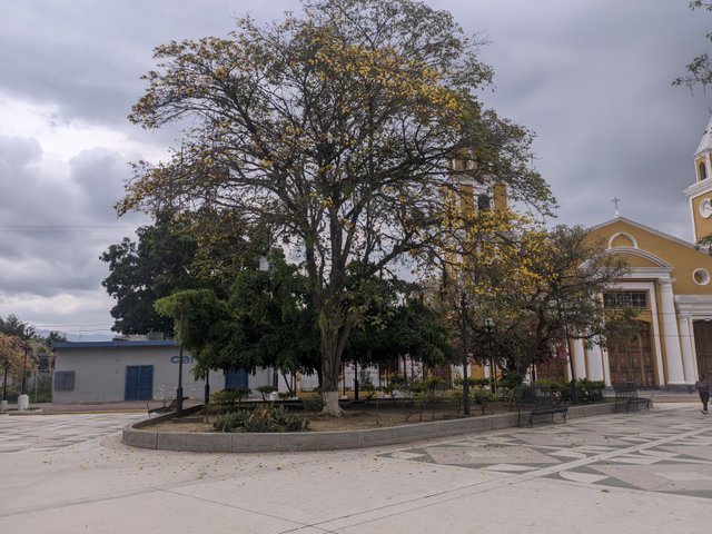 PXL_20250422_124433436.jpg