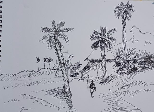 20241024_184745.jpg