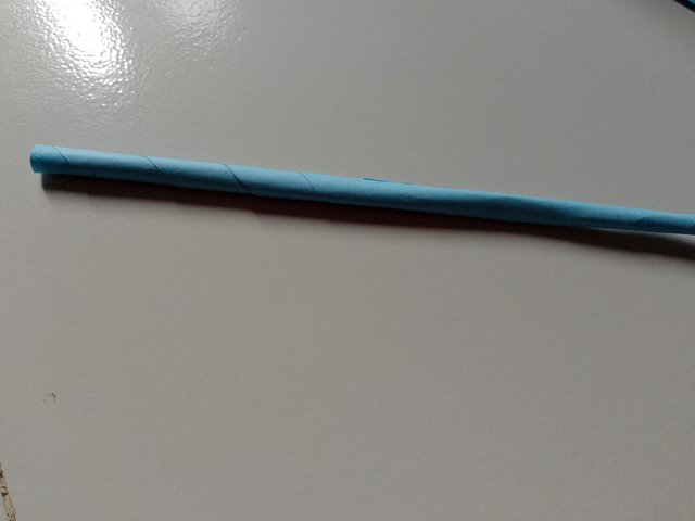 1000056481.jpg