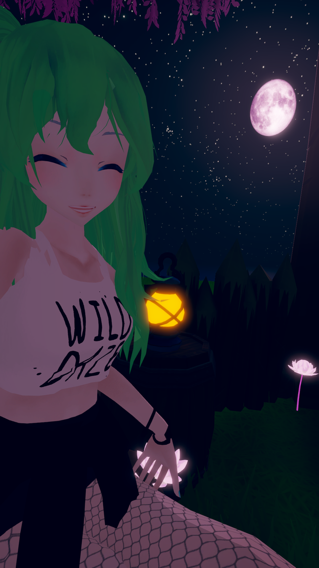 VRChat_1920x1080_2018-06-12_00-13-05.911.png