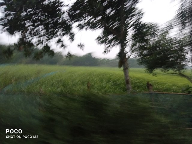 IMG_20250602_185019.jpg
