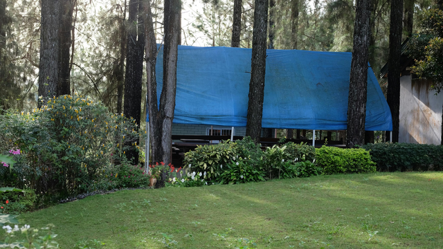 Canopy Tarp.png