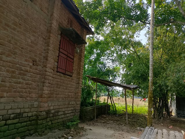 1000041618.jpg
