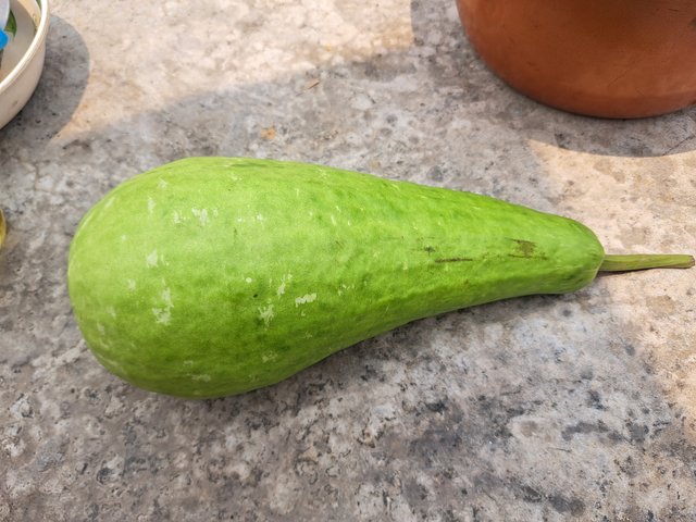 1000041681.jpg