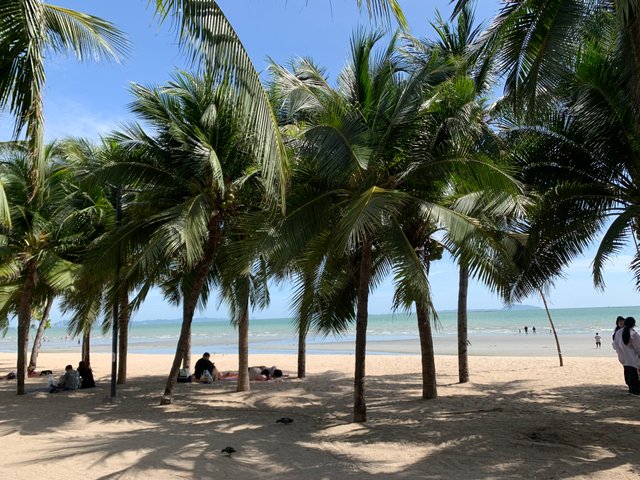 Bang Saen Beach11.jpg