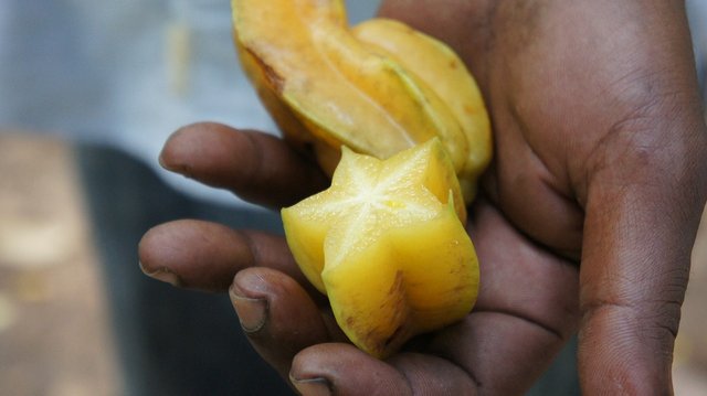 starfruit-230206_1280.jpg