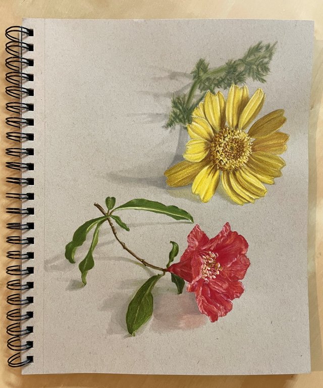 crown daisy and pomegranate by Ran Art Blog.jpg