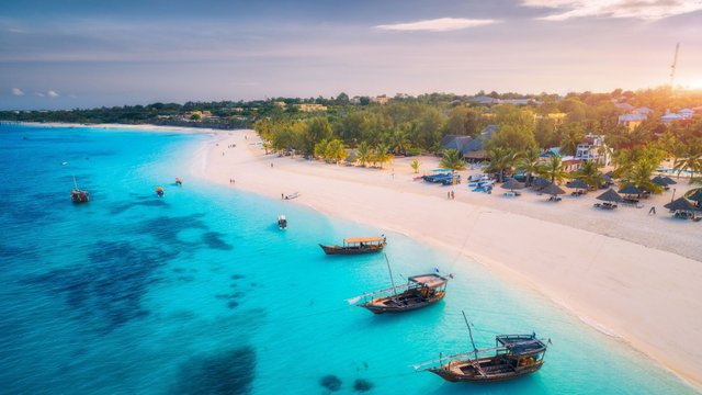 zanzibar 1.webp