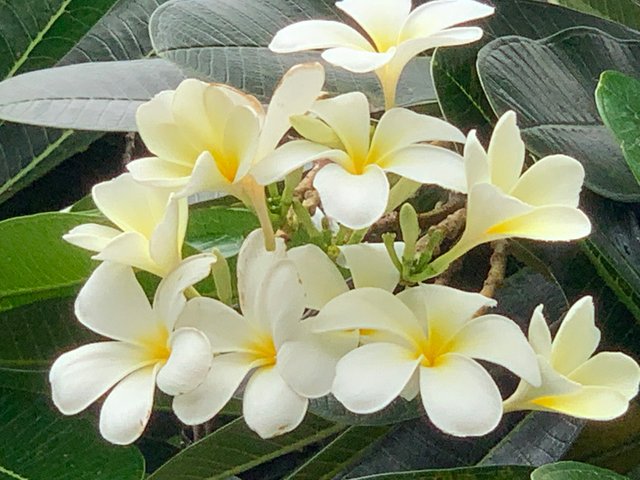 nature104.jpg
