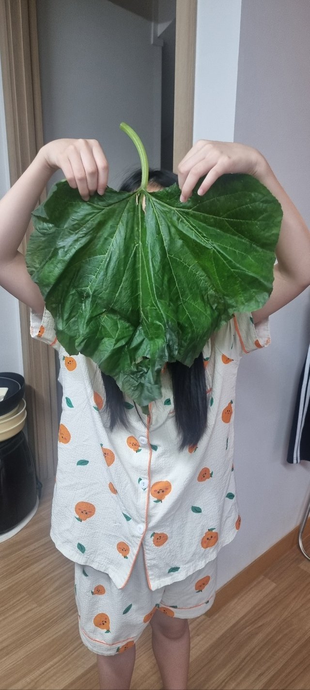 KakaoTalk_20250712_180747498.jpg