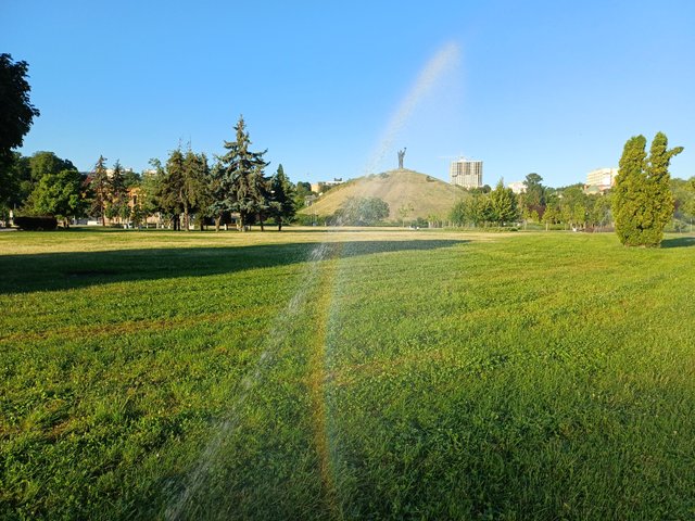 20250724_064334.jpg