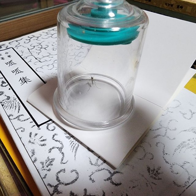KakaoTalk_20250604_220840681.jpg