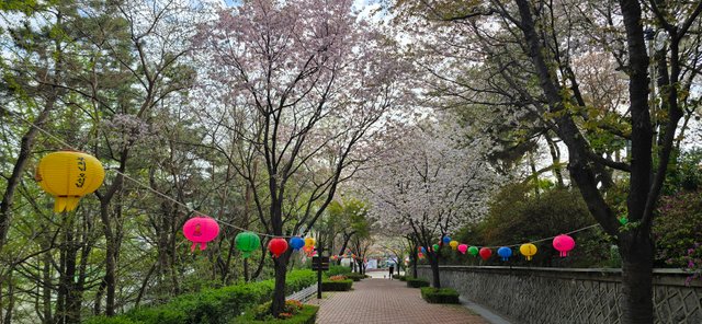 KakaoTalk_20250421_205825311_14.jpg