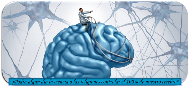 cerebro.png